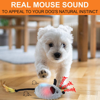 BABORUI Interactive Escaping Mice Squeaky Toys with Lights & Auto-Turn, Rechargeable Moving Toys for Small/Medium/Large Dogs & Cats (Grey)