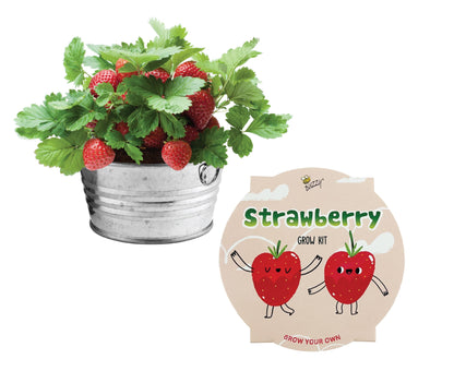 Buzzy Seeds Kids Mini Basin Seed Grow Kit, Strawberry, Kids Collection | Flower Starter Kit for Kids & Adults | Guaranteed to Grow | Best Indoor Grow Your Own Plant Gardening Gift