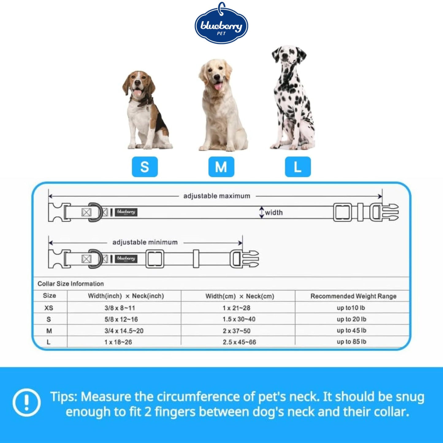 Blueberry Pet Halloween Pumpkin Party Designer Adjustable Dog Collar with Detachable Decoration, Medium, Neck 14.5"-20"