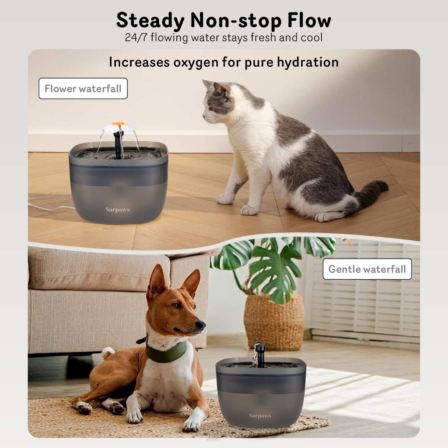 Automatic Cat Feeder and Water Dispenser FW1, Wire or Battery Cat Food Dispenser Timer Pet Feeder - Locking Lid, Desiccant Bag, Programmable Portion Control, 4 Daily Meals, 10s Voice Recorder