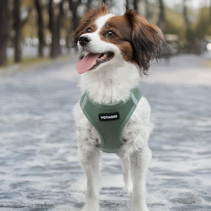 Best Pet Supplies - All Weather Mesh, Reflective, No Pull Harness for Small, Medium Dogs, Cats - Secure with Hook & Loop Fastener, Buckle, Double D-Rings - Moss Green, S (Chest: 14.5-16")