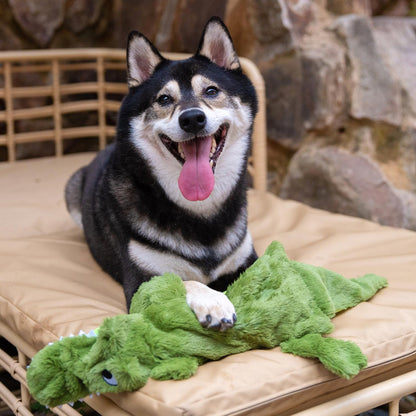 Best Pet Supplies 2-in-1 Stuffless Squeaky Dog Toys with Soft, Durable Fabric for Small, Medium, and Large Pets, No Stuffing for Indoor Play, Holds a Plastic Bottle - 1Wild Duck, Alligator, Large