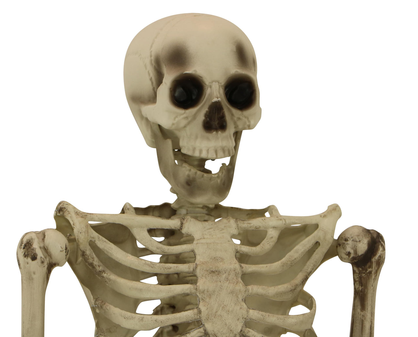 Haunted Hill Farm Life-Size Scary Skeleton Prop, Poseable, Battery-Operated Indoor or Covered Outdoor Halloween Decoration