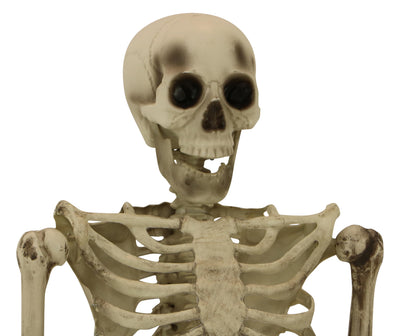 Haunted Hill Farm Life-Size Scary Skeleton Prop, Poseable, Battery-Operated Indoor or Covered Outdoor Halloween Decoration