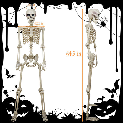 breesky 5.4 ft Halloween Life Size Skeleton, Full Body Realistic Human Bones with Flexible Joints, Skeleton for Halloween Full Size