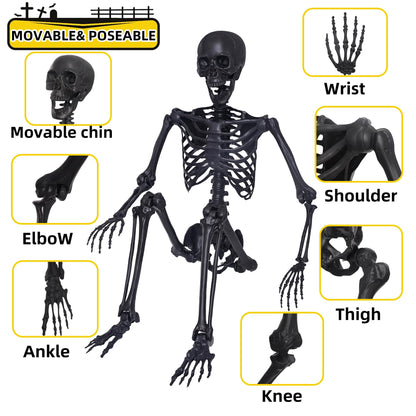 5.4Ft Halloween Skeleton,Posable Skeleton Full Size Skeleton with Movable Joints and 2PC Black Feathered Crows for Halloween Decorations Outside and Inside