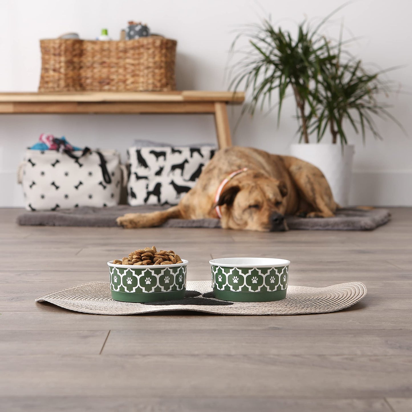 Bone Dry Lattice Collection Pet Bowl & Canister, Small Set, 4.25x2 inches, Hunter Green, 2 Piece