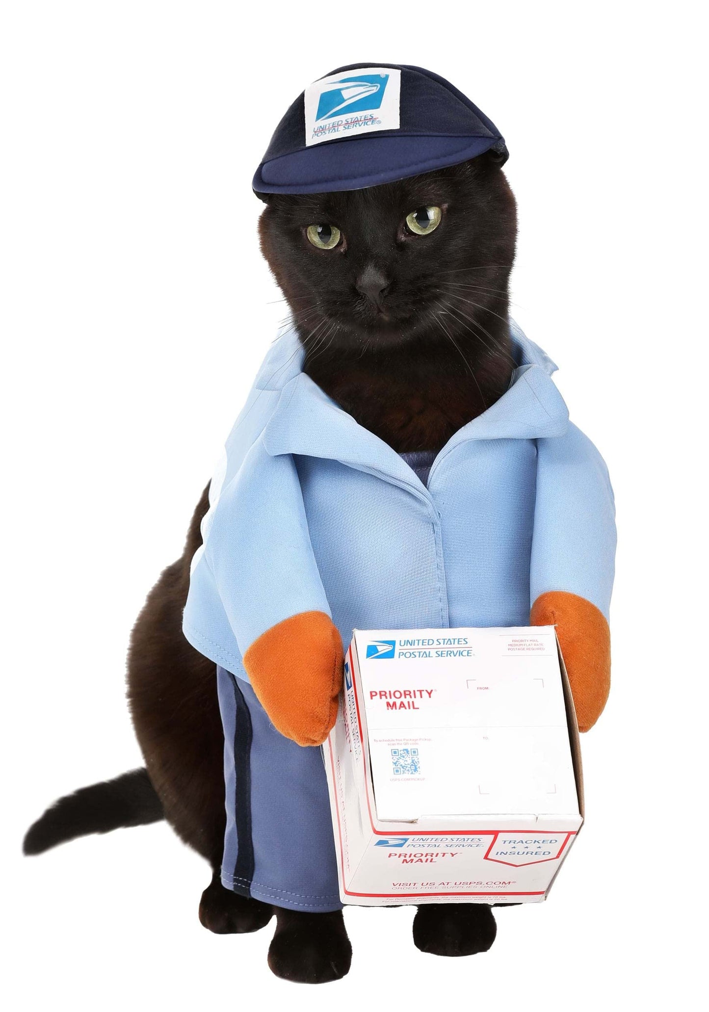 California Costumes Dog Mail Carrier Costume USPS Medium