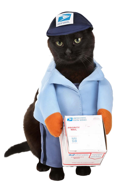 California Costumes Dog Mail Carrier Costume USPS Medium