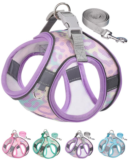 Aecllcea Dog Harness (Purple, S) - Jacquard Fabric, Easy Step-in, No Pull, Reflective Strip, Small Dog Harness and Leash Set