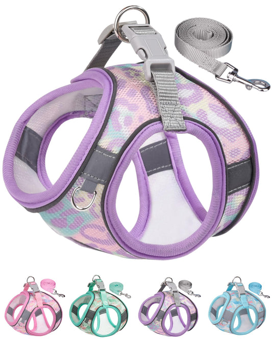 Aecllcea Dog Harness (Purple, S) - Jacquard Fabric, Easy Step-in, No Pull, Reflective Strip, Small Dog Harness and Leash Set