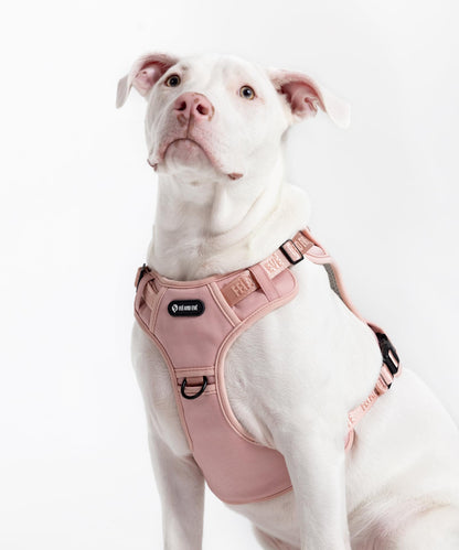 2025 New Edition, Fei & Eve MagEase Dog Harness - Patented Magnetic Buckles | 3-Point No-Pull Control | Heavy-Duty 900D Nylon | Dual Safety Handles | Breathable Mesh | Adjustable Fit | Medium, Pink