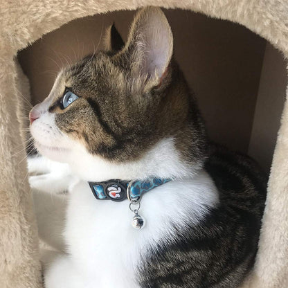 azuza 4 Pack Halloween Kitten Collar Breakaway,Quick Release Safe Buckle Adjustable Kitten Collars, Skull Crossbones, Crossbones, Pink Leopard and Blue Leopard