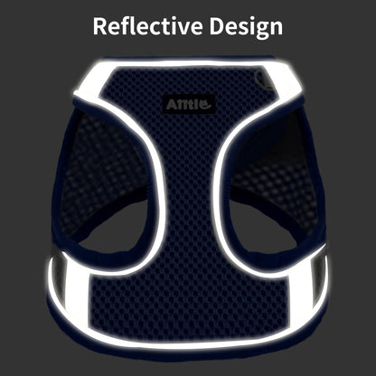 AIITLE Step in Dog Harness and Leash Set - Summer No Pull Escape Proof Vest Harnesses with Soft Mesh and Reflective Bands, Adjustable Pet Outdoor Harnesses for Small and Medium Dogs Royal Blue M