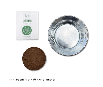 Buzzy Seeds Kids Mini Basin Seed Grow Kit, Strawberry, Kids Collection | Flower Starter Kit for Kids & Adults | Guaranteed to Grow | Best Indoor Grow Your Own Plant Gardening Gift