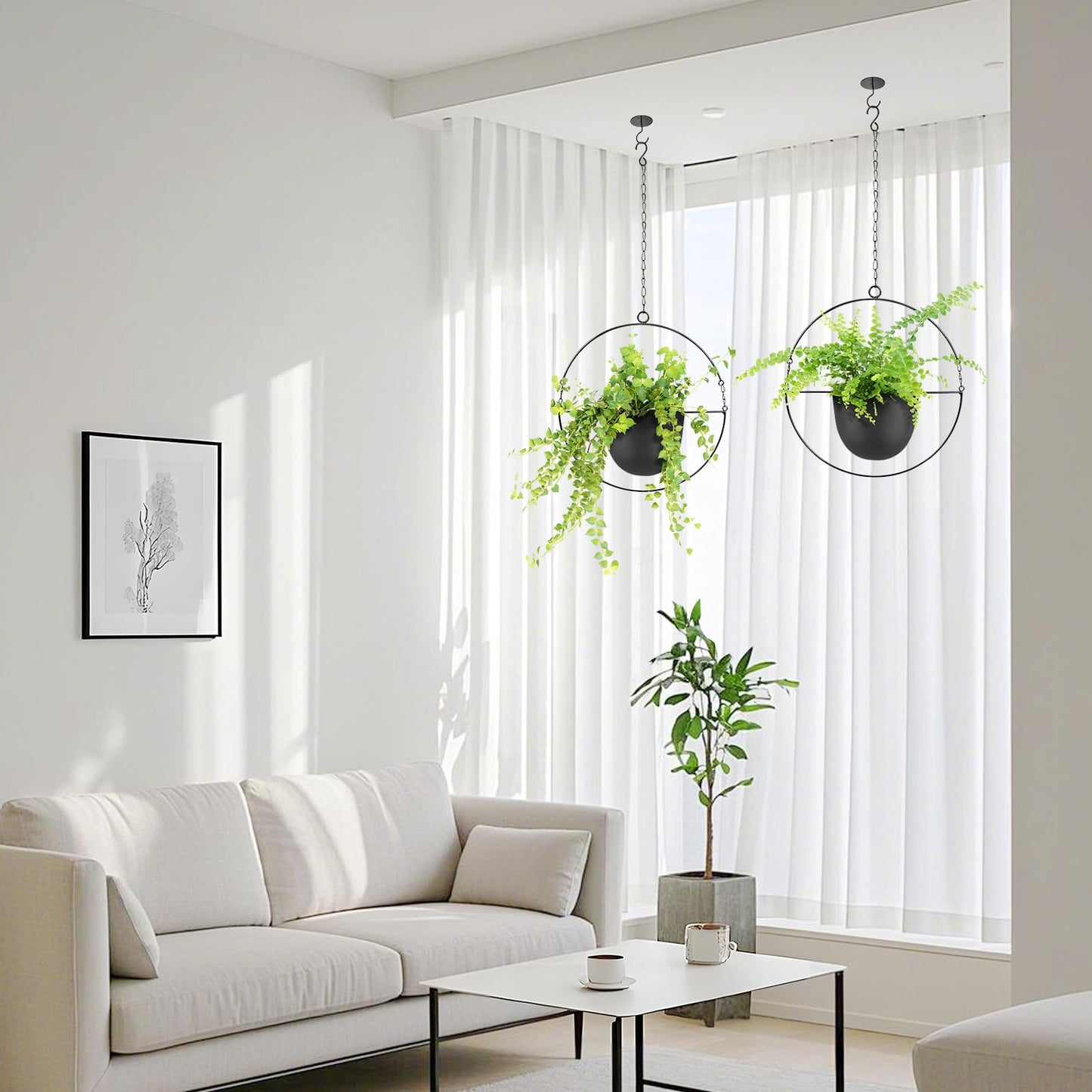 awz p eal. Metal Hanging Planters, Indoor and Outdoor Hanging Planter, Wall Planters with Mid Century Holder, Extra Chain, Hooks for Modern Home Décor