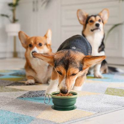 BARWO Collapsible Dog Bowl with Non Skid Suction Base -100% Pure Silicone Foldable Water Bowl, Portable Dog Bowl for Travel, Hiking & Camping 350mL 1 Piece