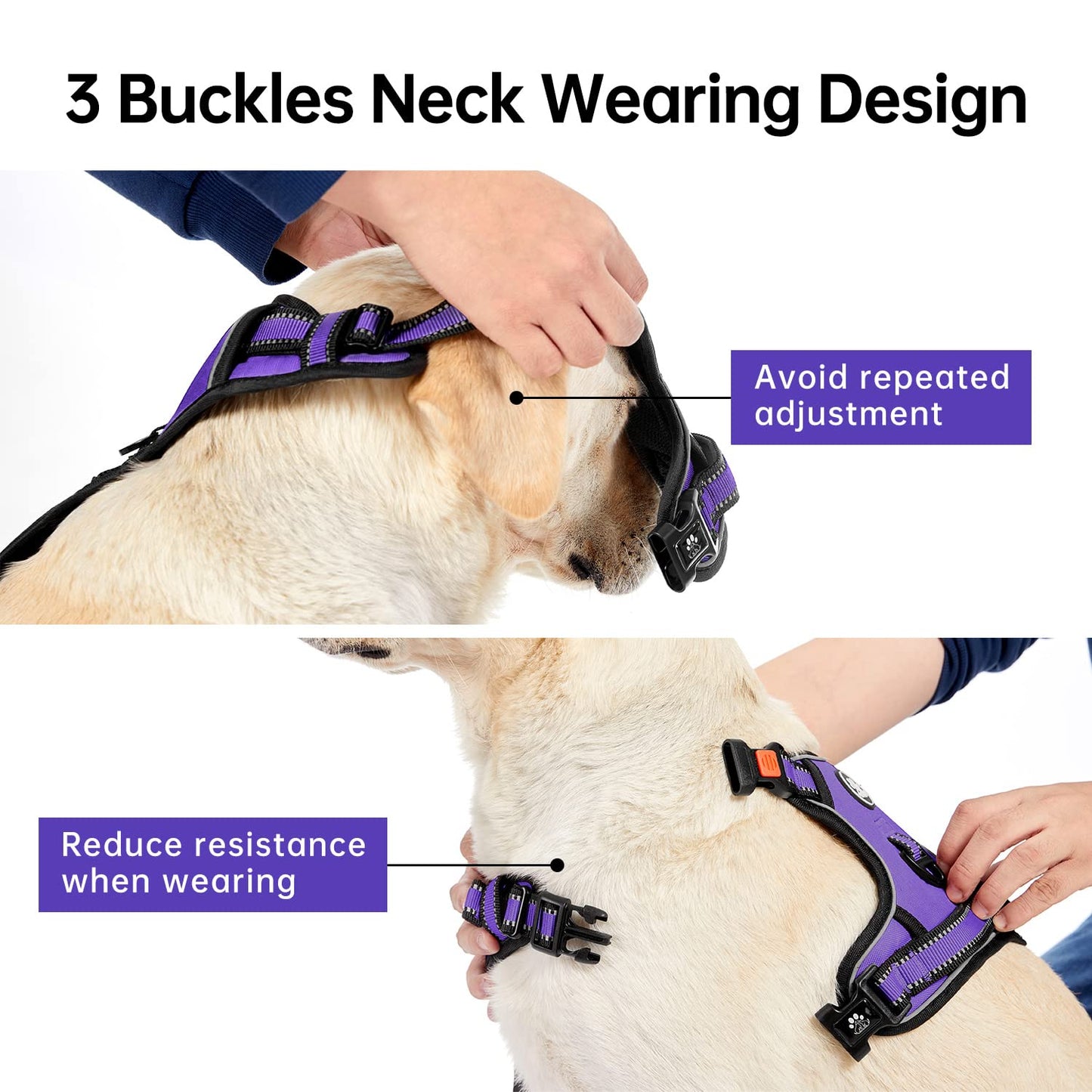 IVY&LANE No Pull Dog Harness for Medium Dogs, Dog Vest Harness with Leash, Safety Belt and Storage Strap, Fully Adjustable Harness, 360° Reflective Strip, Soft Handle (Purple, M)
