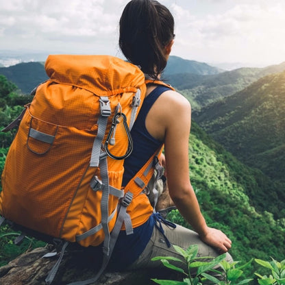 CampTek 5PCS 4"/10cm Carabiner, Extra Large 4" Aluminum Carabeaner Keychain Hook,Spring Snap Key Chain Clip