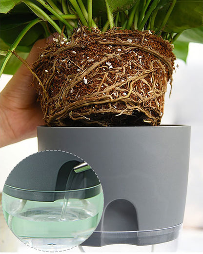 iDattel Herb Pot Kitchen Set Window Sill Self-Watering Set of 3 Herb Garden for The Kitchen, 18.2 x 11 x 15.3 cm, for Fresh Kitchen Herbs, Grey