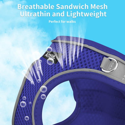 AIITLE Step in Dog Harness and Leash Set - Summer No Pull Escape Proof Vest Harnesses with Soft Mesh and Reflective Bands, Adjustable Pet Outdoor Harnesses for Small and Medium Dogs Royal Blue M