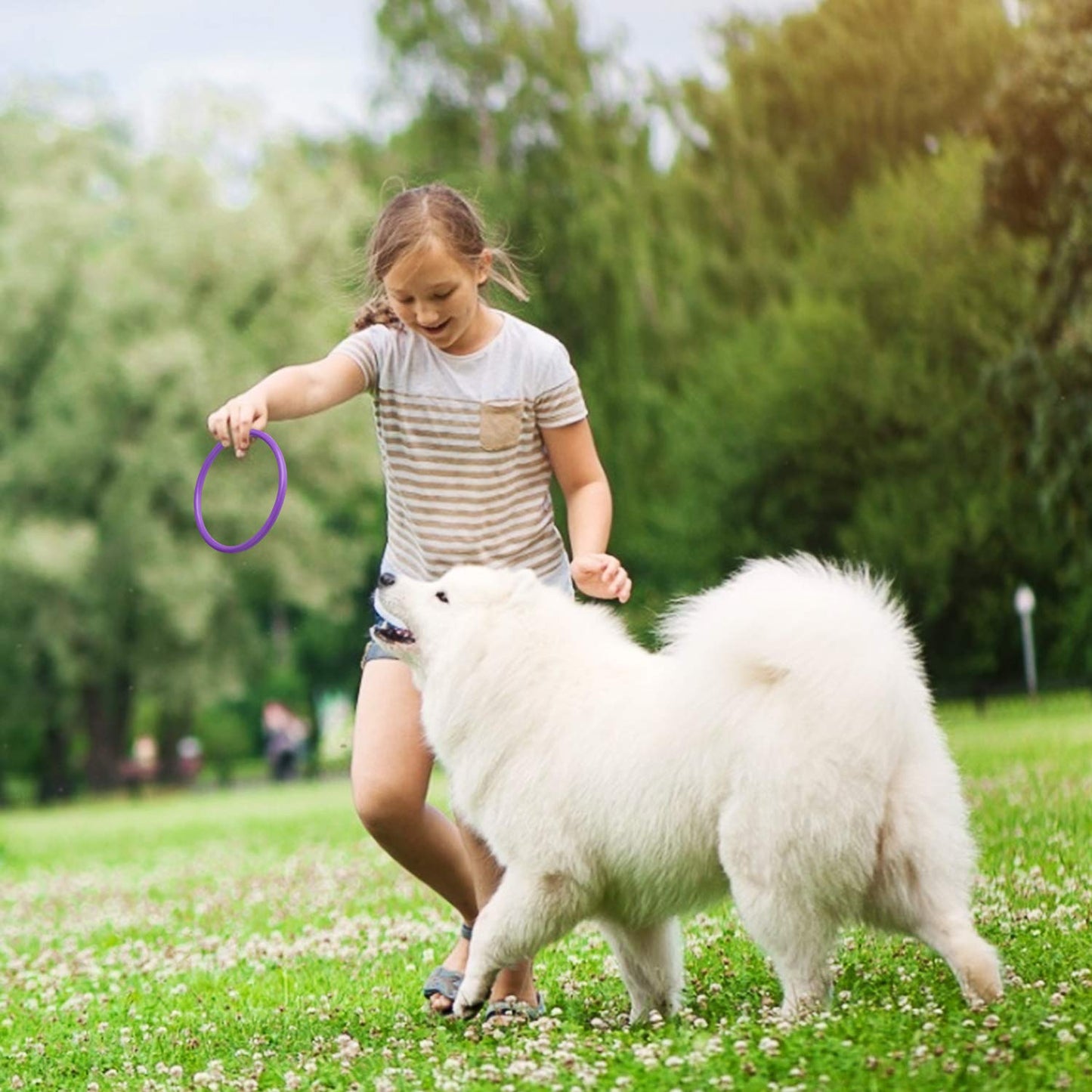 HRLORKC 24Pcs Plastic Ring Toss Game Set Rings for Ring Toss for Kids Outdoor Games Plastic Carnival Rings Carnival Games for Carnival Party and Parent-Child Games…