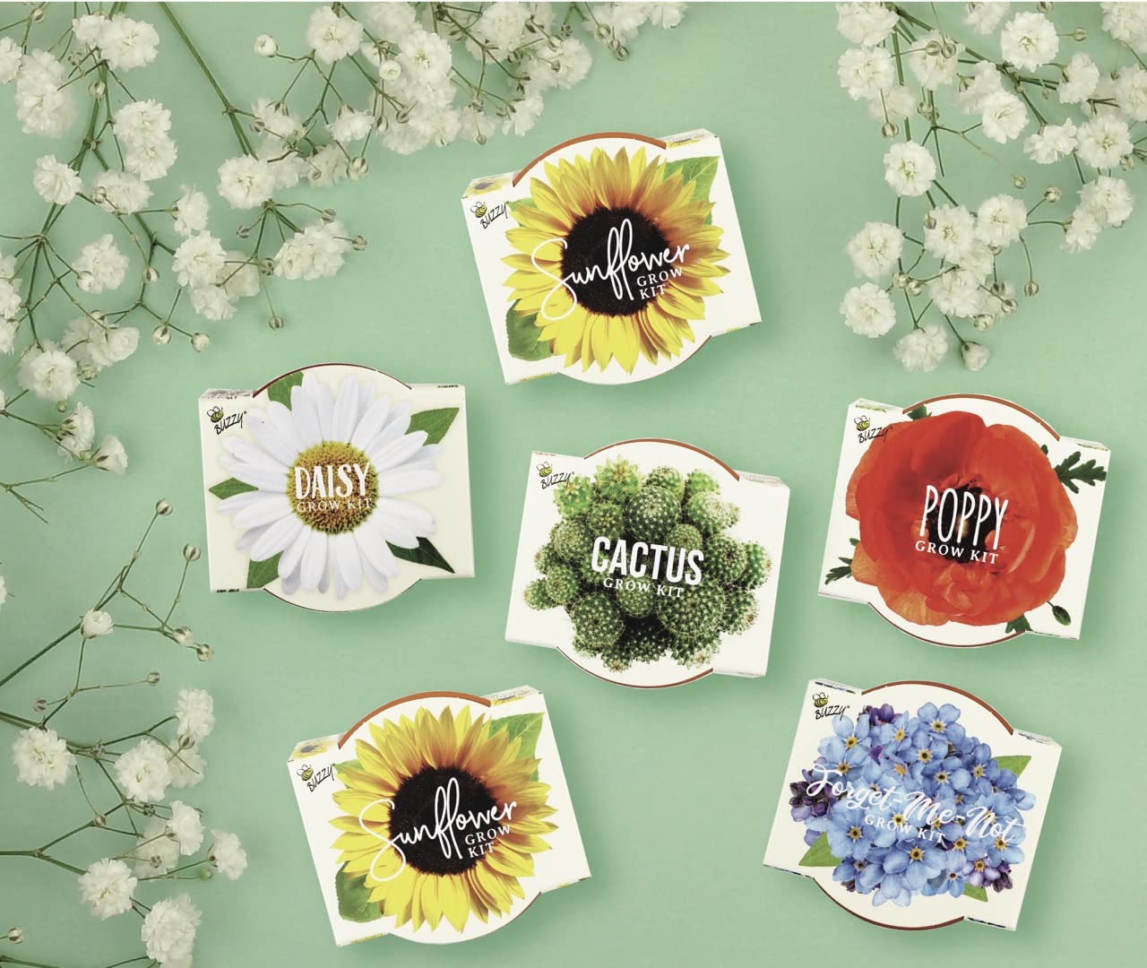 Buzzy Seeds Terracotta Mini Grow Pots | Herb, Plant, Flower Starter Kit for Kids & Adults | Assorted 6-Pack, Daydream Collection | Guaranteed to Grow | Best Indoor-Outdoor Gardening Gift