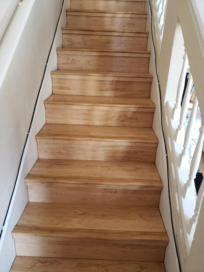 Jadaol Cable Clips 100Pcs 8mm Nail in Clips for Round Ethernet Cables Wall Clips Cable Tacks Electrical Wire TV Cable Speaker Wire Coax Clips Cable Nails for Cords Cat5/Cat5e/Cat6/Cat7 RJ45 Cord Clips