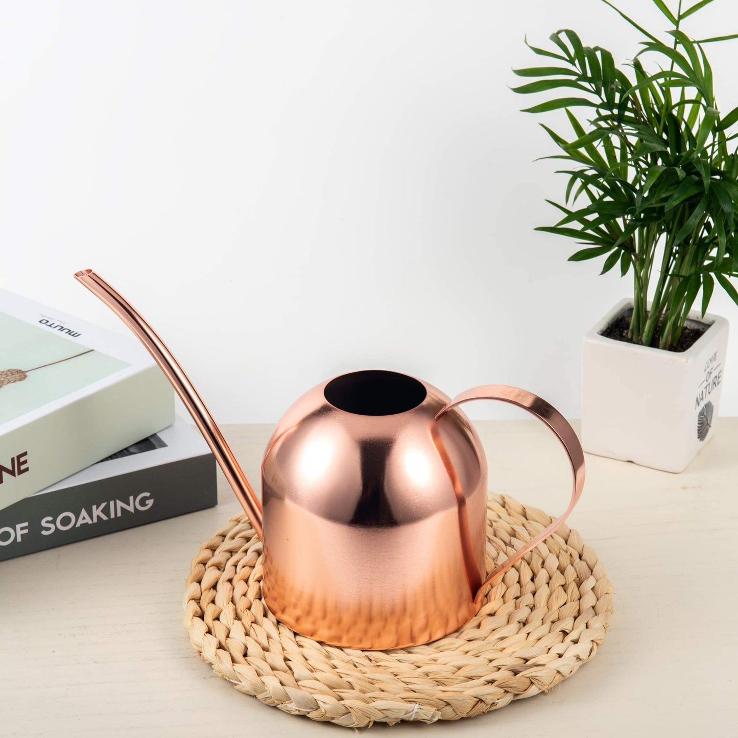 IMEEA Indoor Watering Can for House Plants 33oz/1L Stainless Steel Watering Can with Long Spout (Rose Gold)