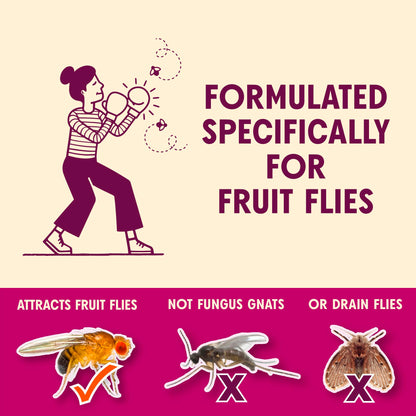 Aunt Fannie's FlyPunch Fruit Fly Trap for Indoor and Kitchen Use, Ready to Use, Made with Plant Based Ingredients, Safe Near Food, Each Bottle Lasts Up to 30 Days, Pack of 2