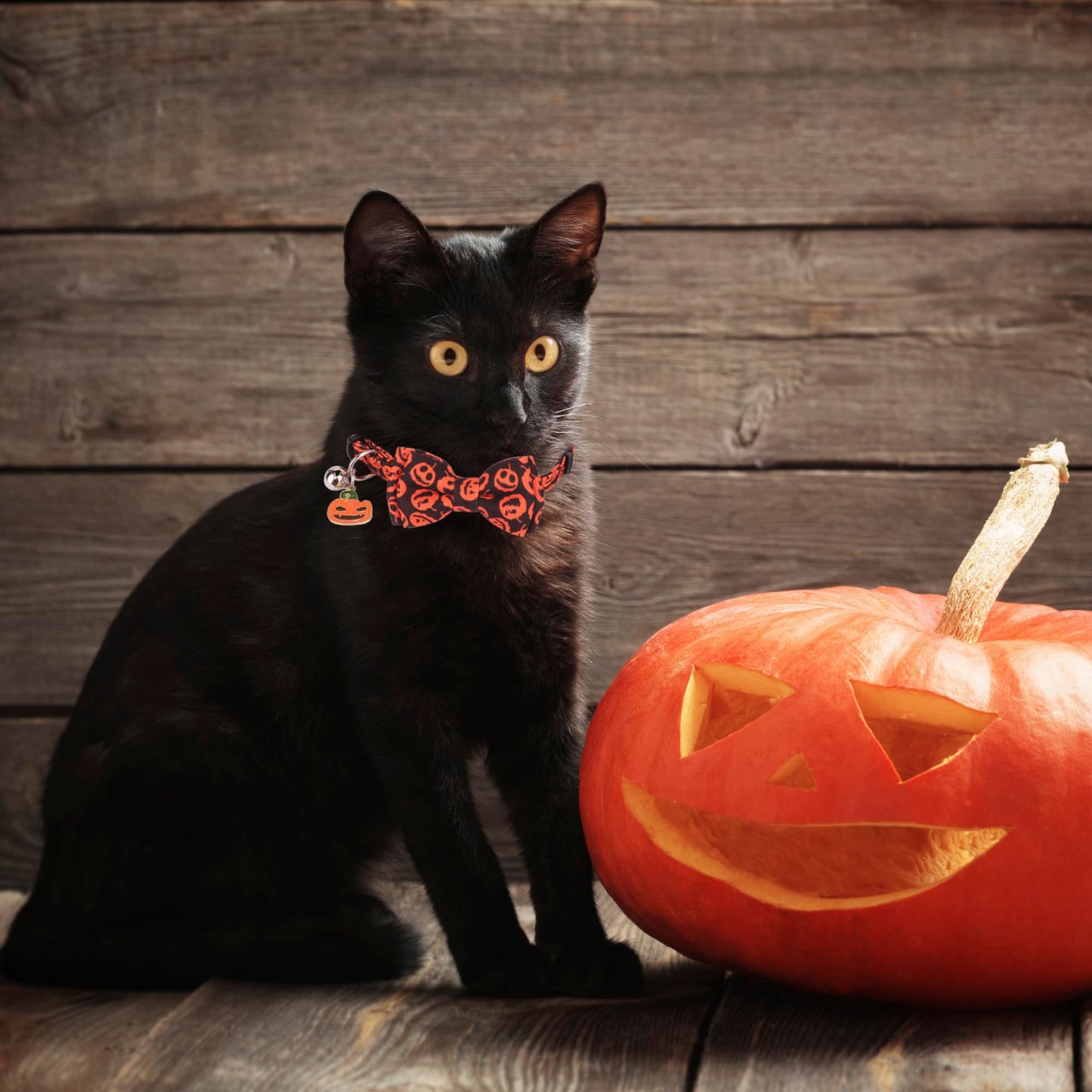ADOGGYGO Halloween Cat Collar with Bowtie Bell, 2 Pack Halloween Kitten Collar with Removable Bow, Pumpkin Ghost Holiday Collars for Cat Kitten