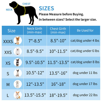 AIITLE Tiny Dog Harness - Lightweight Mesh Step-in Vest for Puppy, Reflective & Escape-Proof Design with High-Stick Velcro - Indoor/Outdoor Use for Chihuahua, Maltese, Shih Tzu(Turquoise-Pink, XXXS)