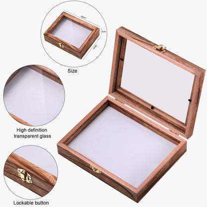 Insect Display Case Box Collection Box with Clear Top, EVA Foam Pinning Board and 100 Pieces Pins Insect Shadow Box Kit Entomology Supplies for Collecting Butterfly Specimen(Carbonized Black)