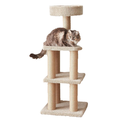 Amazon Basics Cat Tree - Indoor Cat & Kittens Multi-Level Climbing Activity Tower with Scratching Posts, Large (45.9"H) - Beige