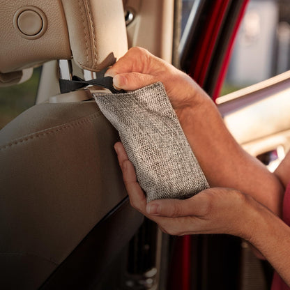 Armor All Fresh FX Charcoal Bag Deodorizer (9 Count) - Charcoal Deodorizer Bags for Cars, Natural Bamboo Car Air Freshener