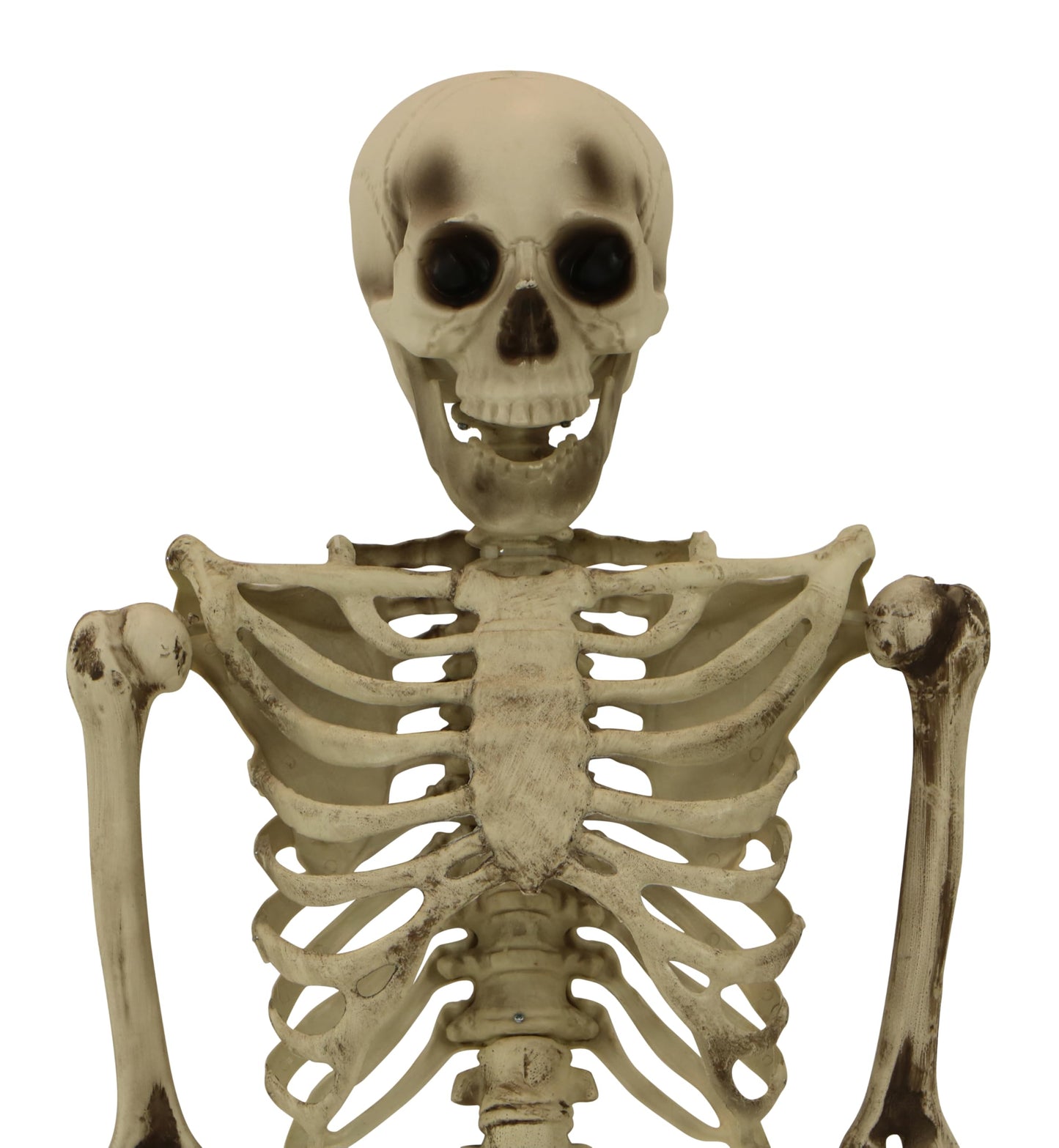 Haunted Hill Farm Life-Size Scary Skeleton Prop, Poseable, Battery-Operated Indoor or Covered Outdoor Halloween Decoration