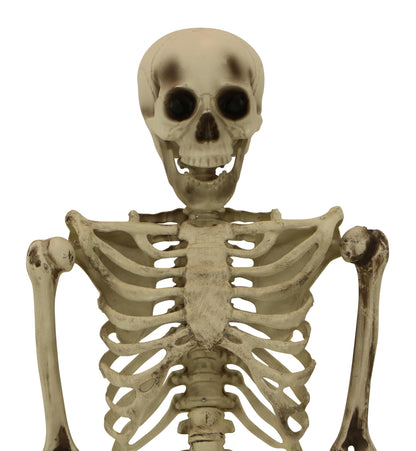 Haunted Hill Farm Life-Size Scary Skeleton Prop, Poseable, Battery-Operated Indoor or Covered Outdoor Halloween Decoration