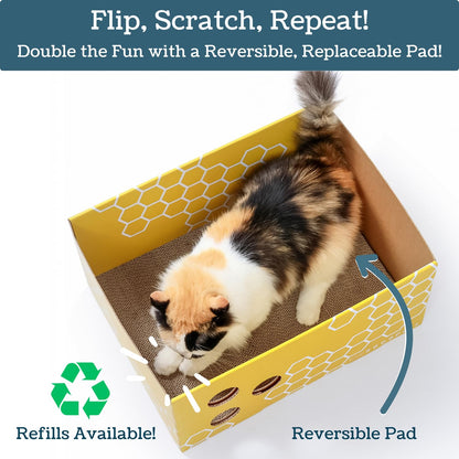 5609PETS Heavy Duty Cardboard Cat Scratcher Box with Refillable Double-Sided Cat Scratching Board for Indoor Cats