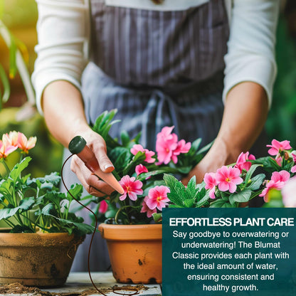 Blumat Classic Plant Watering Stakes - Self-Watering Insert for Indoor and Outdoor Plants - Automatic Slow Release Irrigation System for Potted Plants - Houseplant Care Device (6 Pack)