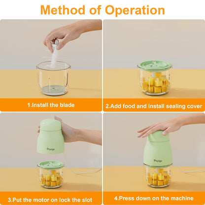 Baby Food Maker-Upgrade, Phydge Baby Food Blender with Baby Food Containers, Silicone Spoons, Easy to Clean, 10oz Baby Food Processor for Fruit, Vegetable, Meat