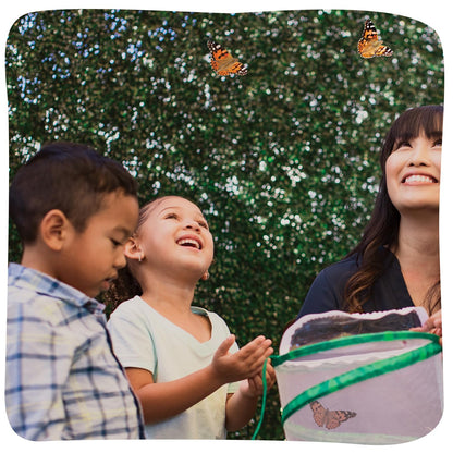Insect Lore Raise and Release Butterfly Garden Kit – Caterpillar Habitat with redeemable Voucher – STEM-accredited Live Butterfly Growing Kit for Kids, Classrooms, and Homeschool Learning