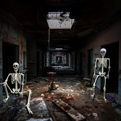 Wocst 5.4Ft/165cm Halloween Skeleton Full Body Life Size Human Bones with Movable Joints for Indoor Outdoor Halloween Props Decorations