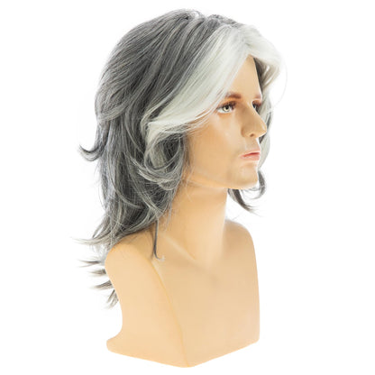 Baruisi Mens Wig Grey Long Straight Synthetic Heat Resistant Costume Cosplay Hair Wig