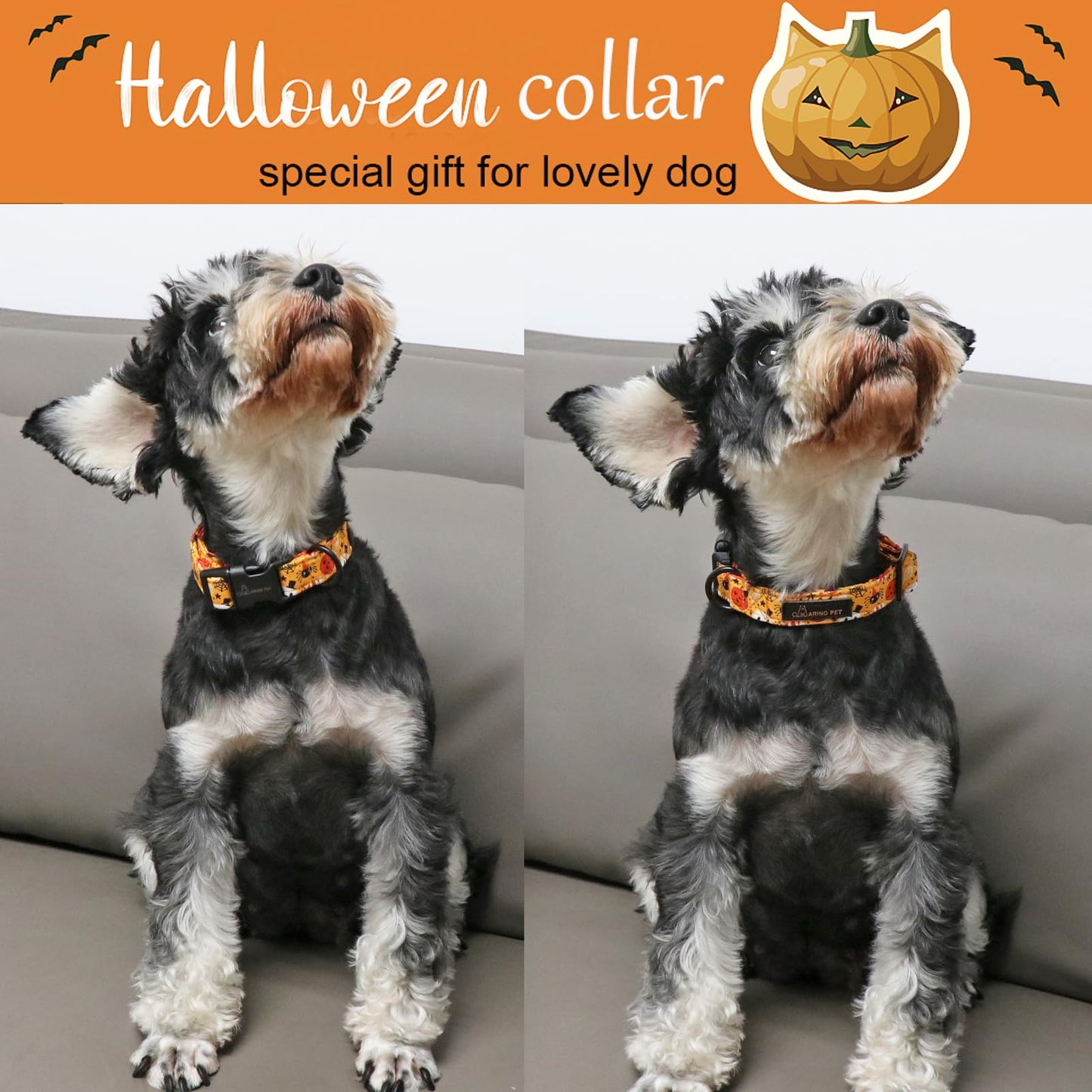 ARING PET Halloween Dog Collar-Cute Pumpkin Dog Collar for Small Dogs, Adjustable Halloween Ghost Dog Collars for Small Medium Large Female and Male Dogs
