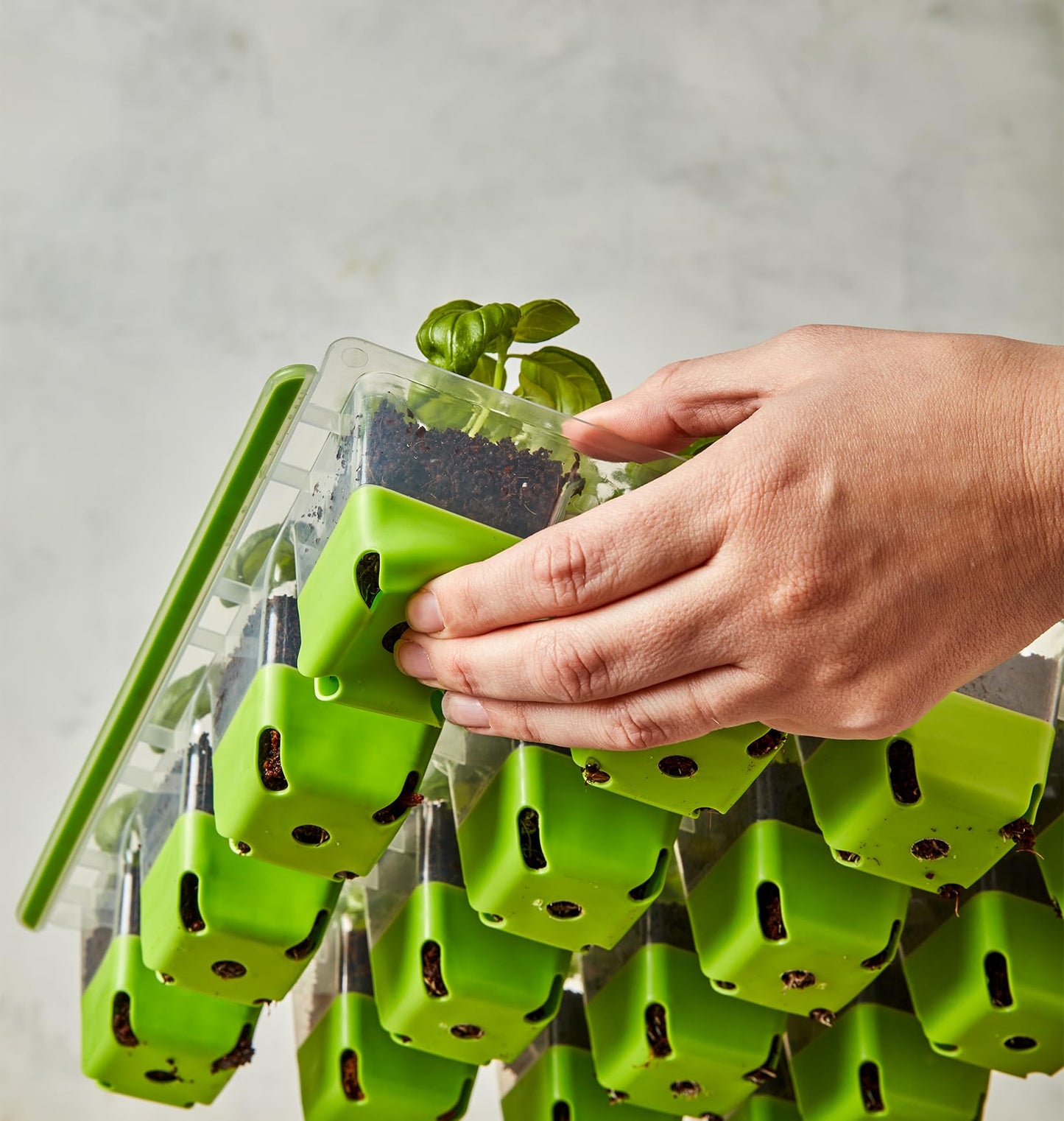 Burpee SuperSeed Seed Starting Tray | 16 XL Cell | Reusable & Dishwasher Safe | for Starting Vegetable Seeds, Flower Seeds & Herb Seeds | Indoor Grow Kit for Deep-Rooted Seedlings, Green