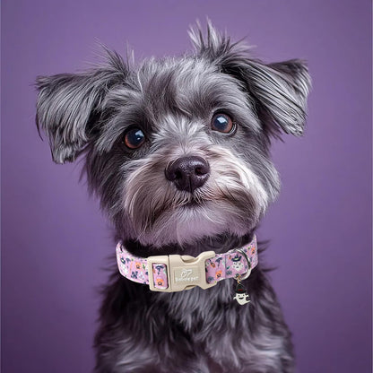 Babole Pet Halloween Dog Collar Cute Wizard Ghost Puppy Collar - Light Comfortable Adjustable Pet Collars for Small Medium Large Girl Boy Dogs S