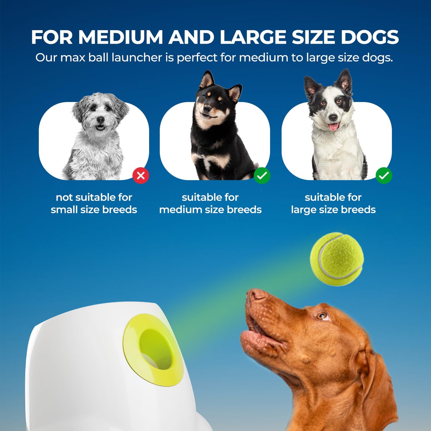 ALL FOR PAWS Automatic Dog Ball Launcher for Medium to Large Dogs, Interactive Tennis Ball Thrower, Rechargeable Dog Toy Mental Stimulation Training Game for Energetic Dogs
