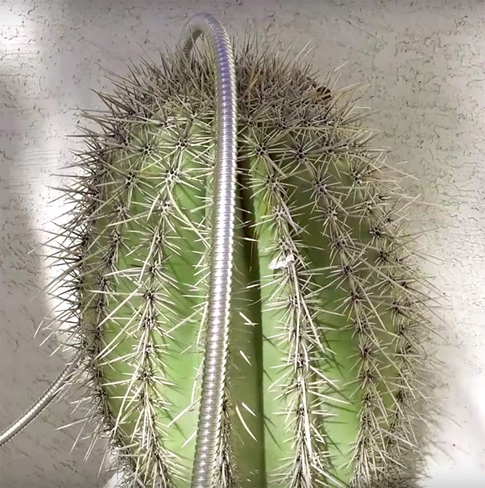 Beaulife Metal Garden Hose 50 ft Flexible No Kink Lightweight RV Drinking Water Hose Extension Leader Hose Heavy Duty Outdoor