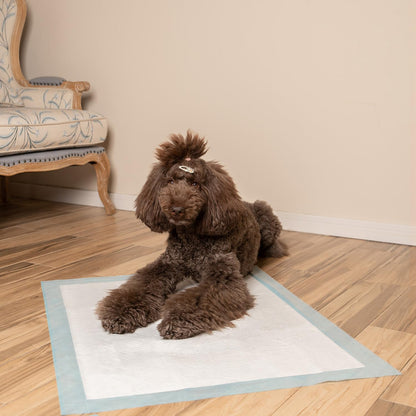 Best Pet Supplies Puppy Pads - Disposable, Dog Training Potty, Super Absorbent Blue Puppy Pee Pads for Dogs (Pack of 100) X-Large