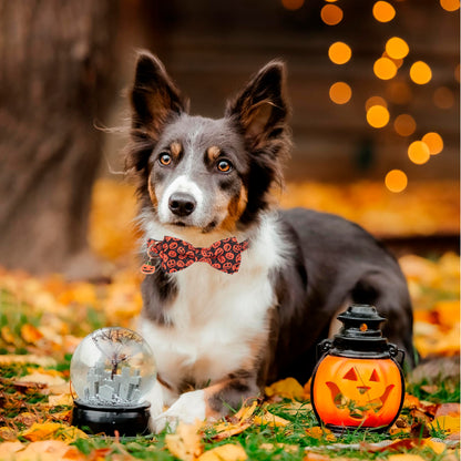 ADOGGYGO Halloween Dog Collars with Bow Tie, Adjustable, Black Orange, Pumpkin Skeleton Halloween Bow Collars for Small Medium Large Dogs Pets (Medium)